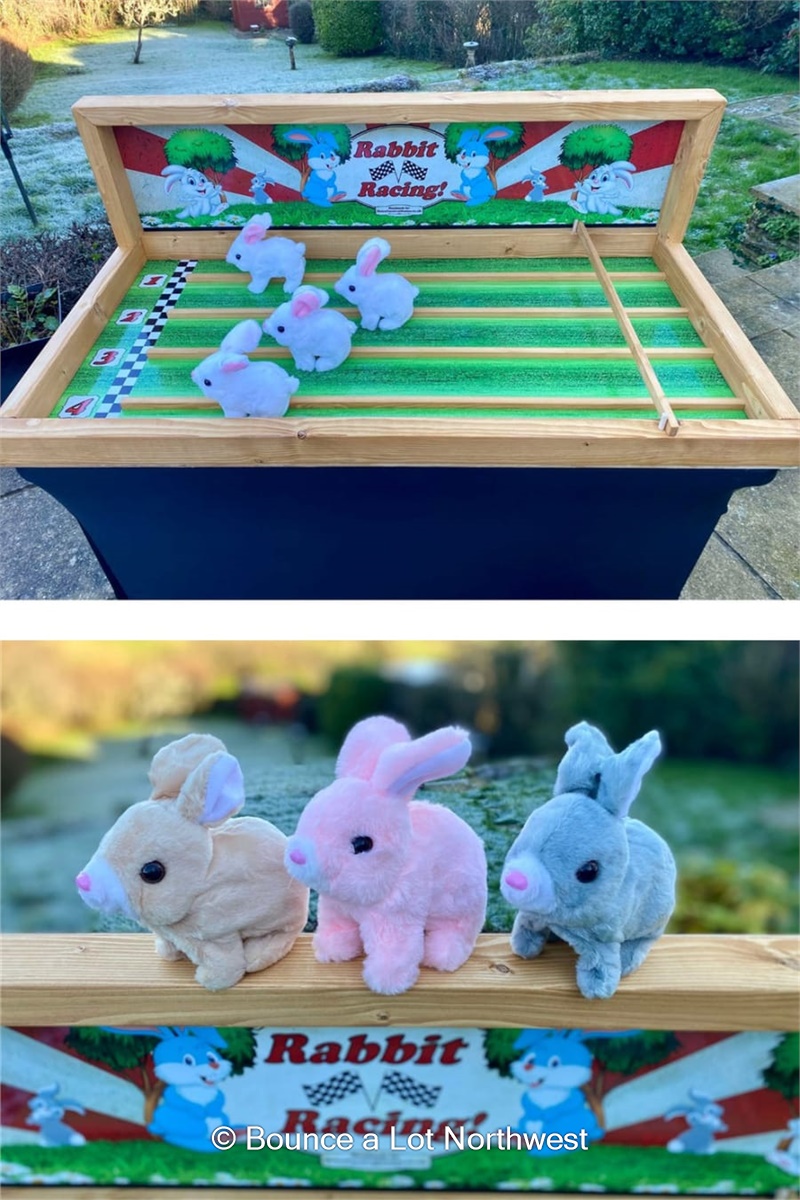 Rabbit Racing Game Hire | Branded Carnival Racing Game for Events